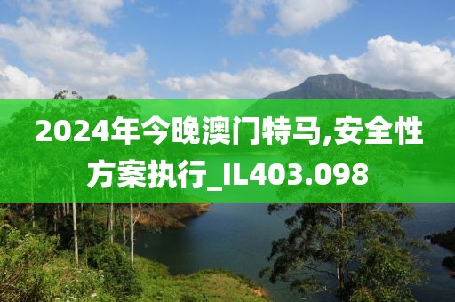 2024年今晚澳门特马,安全性方案执行_IL403.098