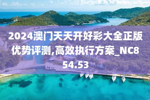 2024澳门天天开好彩大全正版优势评测,高效执行方案_NC854.53