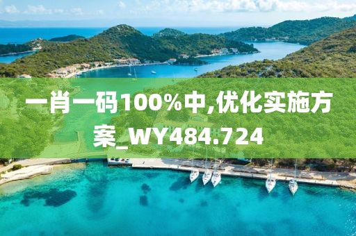 一肖一码100%中,优化实施方案_WY484.724