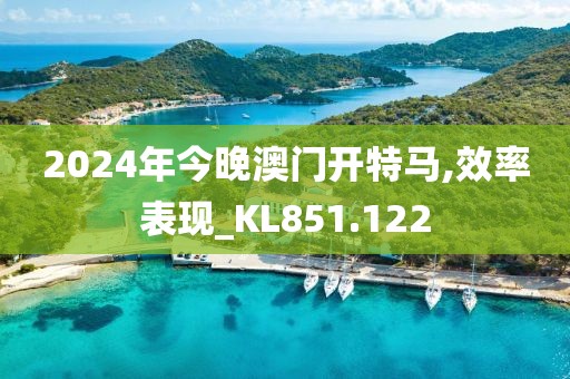 2024年今晚澳门开特马,效率表现_KL851.122