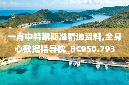 一肖中特期期准精选资料,全身心数据指导枕_BC950.793
