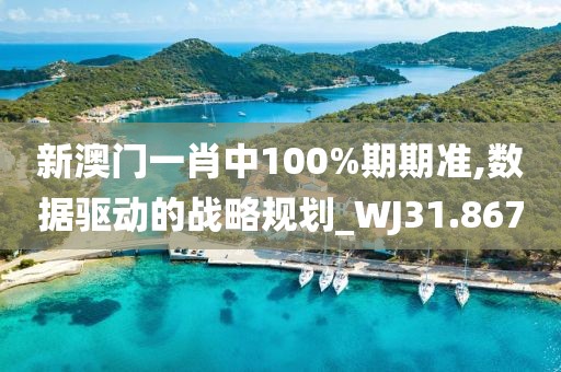 新澳门一肖中100%期期准,数据驱动的战略规划_WJ31.867