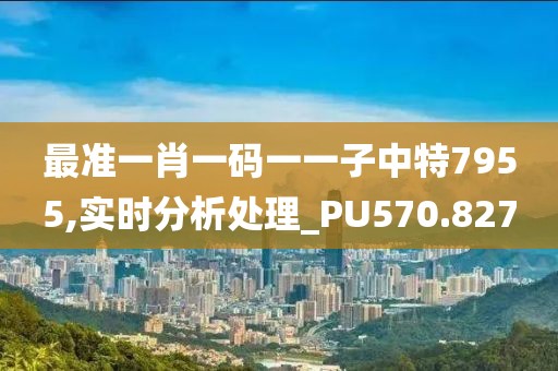 最准一肖一码一一子中特7955,实时分析处理_PU570.827