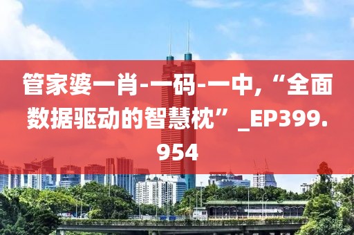 管家婆一肖-一码-一中,“全面数据驱动的智慧枕”_EP399.954