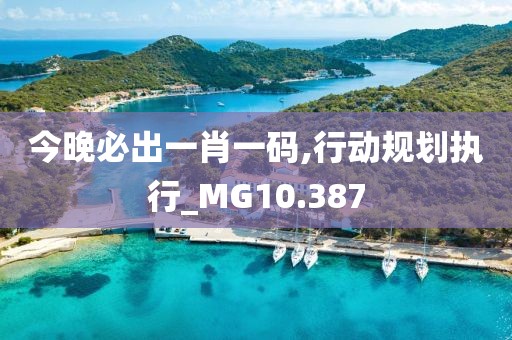 今晚必出一肖一码,行动规划执行_MG10.387