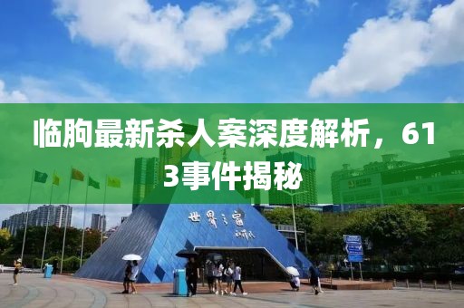 临朐最新杀人案深度解析，613事件揭秘