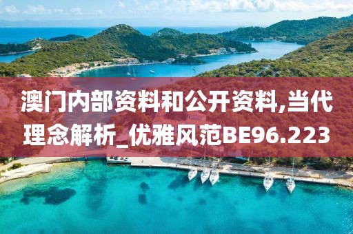 澳门内部资料和公开资料,当代理念解析_优雅风范BE96.223