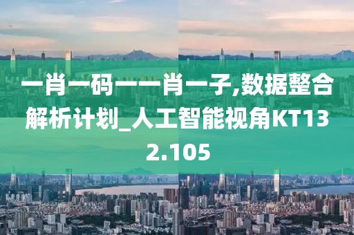 一肖一码一一肖一子,数据整合解析计划_人工智能视角KT132.105