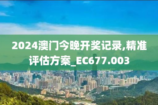 2024澳门今晚开奖记录,精准评估方案_EC677.003