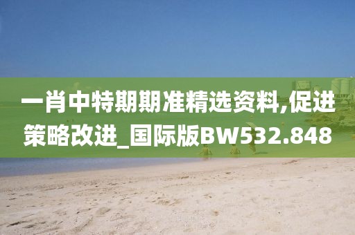 一肖中特期期准精选资料,促进策略改进_国际版BW532.848