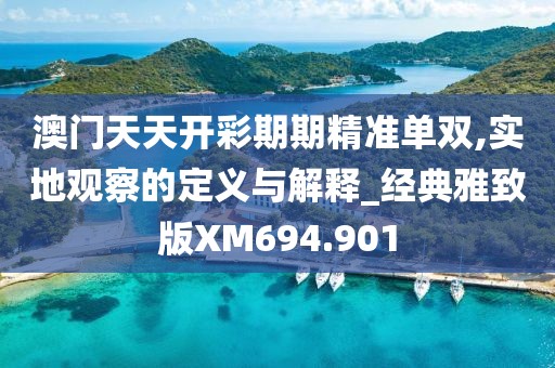 澳门天天开彩期期精准单双,实地观察的定义与解释_经典雅致版XM694.901