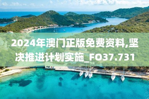 2024年澳门正版免费资料,坚决推进计划实施_FO37.731