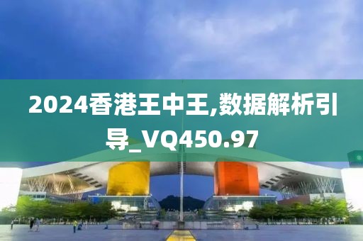 2024香港王中王,数据解析引导_VQ450.97