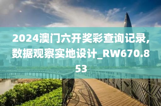 2024澳门六开奖彩查询记录,数据观察实地设计_RW670.853