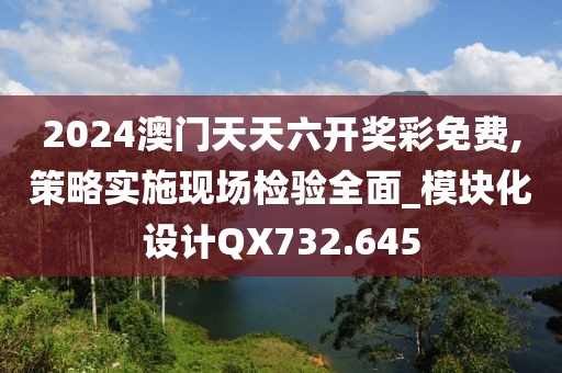 2024澳门天天六开奖彩免费,策略实施现场检验全面_模块化设计QX732.645