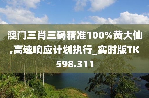 澳门三肖三码精准100%黄大仙,高速响应计划执行_实时版TK598.311