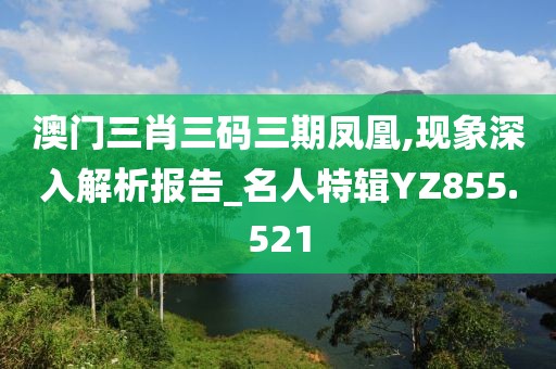 澳门三肖三码三期凤凰,现象深入解析报告_名人特辑YZ855.521