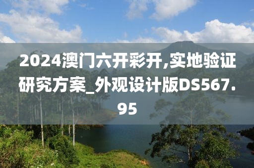 2024澳门六开彩开,实地验证研究方案_外观设计版DS567.95