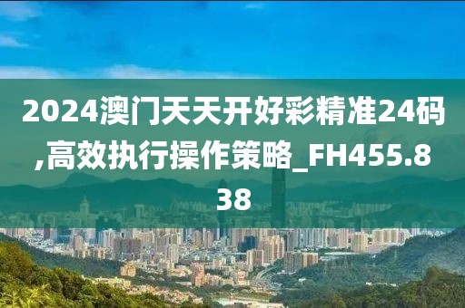 2024澳门天天开好彩精准24码,高效执行操作策略_FH455.838