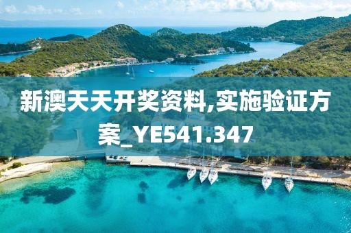 新澳天天开奖资料,实施验证方案_YE541.347
