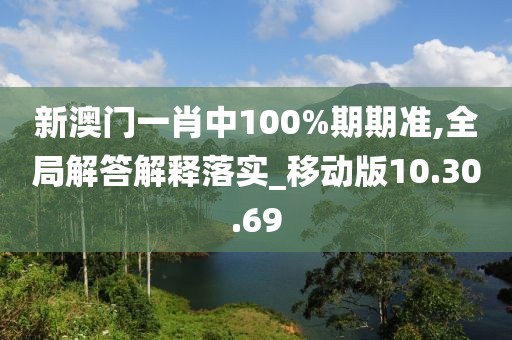 新澳门一肖中100%期期准,全局解答解释落实_移动版10.30.69
