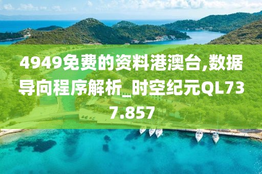 4949免费的资料港澳台,数据导向程序解析_时空纪元QL737.857