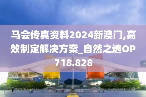 马会传真资料2024新澳门,高效制定解决方案_自然之选OP718.828