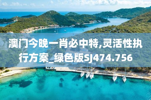 澳门今晚一肖必中特,灵活性执行方案_绿色版SJ474.756