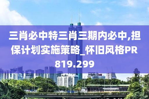 三肖必中特三肖三期内必中,担保计划实施策略_怀旧风格PR819.299