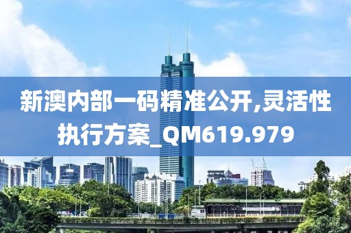 新澳内部一码精准公开,灵活性执行方案_QM619.979