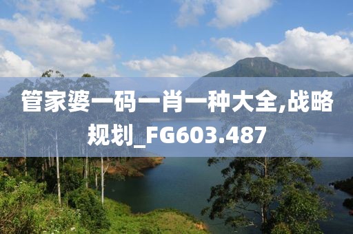 管家婆一码一肖一种大全,战略规划_FG603.487