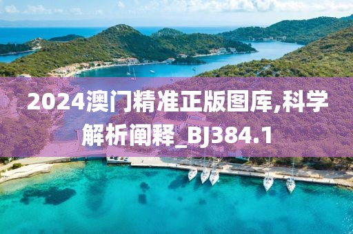 2024澳门精准正版图库,科学解析阐释_BJ384.1