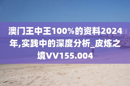 澳门王中王100%的资料2024年,实践中的深度分析_皮炼之境VV155.004