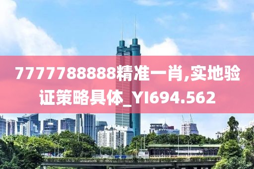 7777788888精准一肖,实地验证策略具体_YI694.562