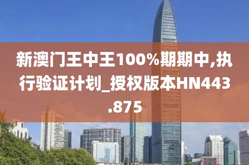 新澳门王中王100%期期中,执行验证计划_授权版本HN443.875