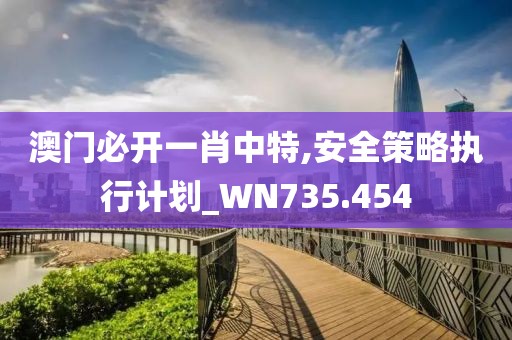 澳门必开一肖中特,安全策略执行计划_WN735.454