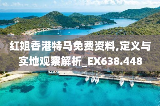 红姐香港特马免费资料,定义与实地观察解析_EX638.448
