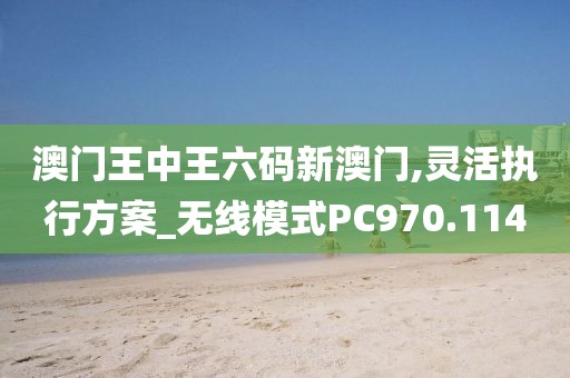 澳门王中王六码新澳门,灵活执行方案_无线模式PC970.114