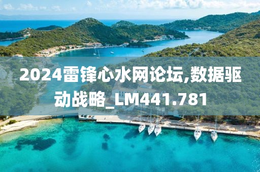 2024雷锋心水网论坛,数据驱动战略_LM441.781