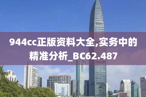 944cc正版资料大全,实务中的精准分析_BC62.487