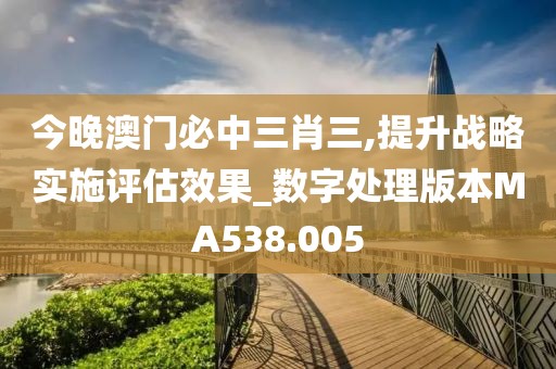 今晚澳门必中三肖三,提升战略实施评估效果_数字处理版本MA538.005