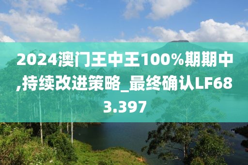 2024澳门王中王100%期期中,持续改进策略_最终确认LF683.397
