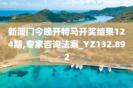 新澳门今晚开特马开奖结果124期,专家咨询法案_YZ132.892