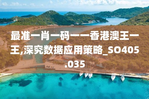最准一肖一码一一香港澳王一王,深究数据应用策略_SO405.035