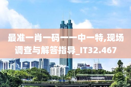 最准一肖一码一一中一特,现场调查与解答指导_IT32.467