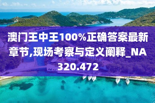 澳门王中王100%正确答案最新章节,现场考察与定义阐释_NA320.472