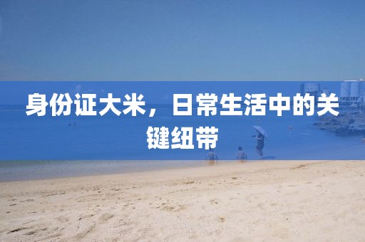 身份证大米，日常生活中的关键纽带