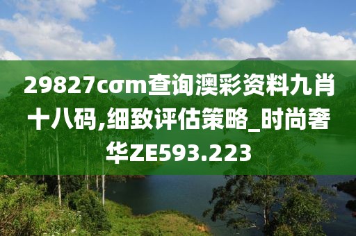 29827cσm查询澳彩资料九肖十八码,细致评估策略_时尚奢华ZE593.223
