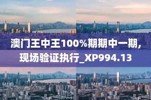 澳门王中王100%期期中一期,现场验证执行_XP994.13