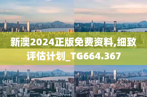 新澳2024正版免费资料,细致评估计划_TG664.367